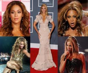 пазл Beyoncé успех его сольных альбомов, создал ее, как один из самых коммерческих художников в музыкальной индустрии